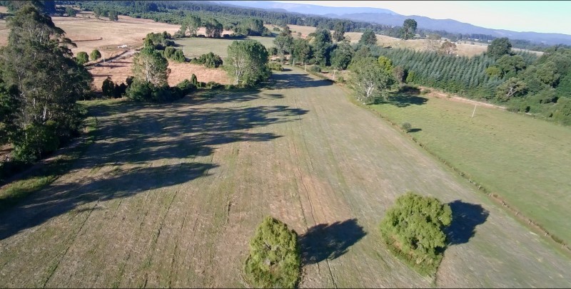 HERMOSO CAMPO PLANO DE 88 HAS EN COMUNA DE LOS LAGOS