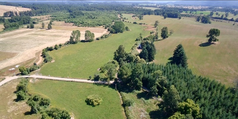 HERMOSO CAMPO PLANO DE 88 HAS EN COMUNA DE LOS LAGOS - Miniatura 2