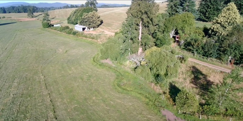 HERMOSO CAMPO PLANO DE 88 HAS EN COMUNA DE LOS LAGOS - Miniatura 4