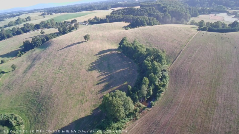 HERMOSO CAMPO PLANO DE 88 HAS EN COMUNA DE LOS LAGOS - Miniatura 6