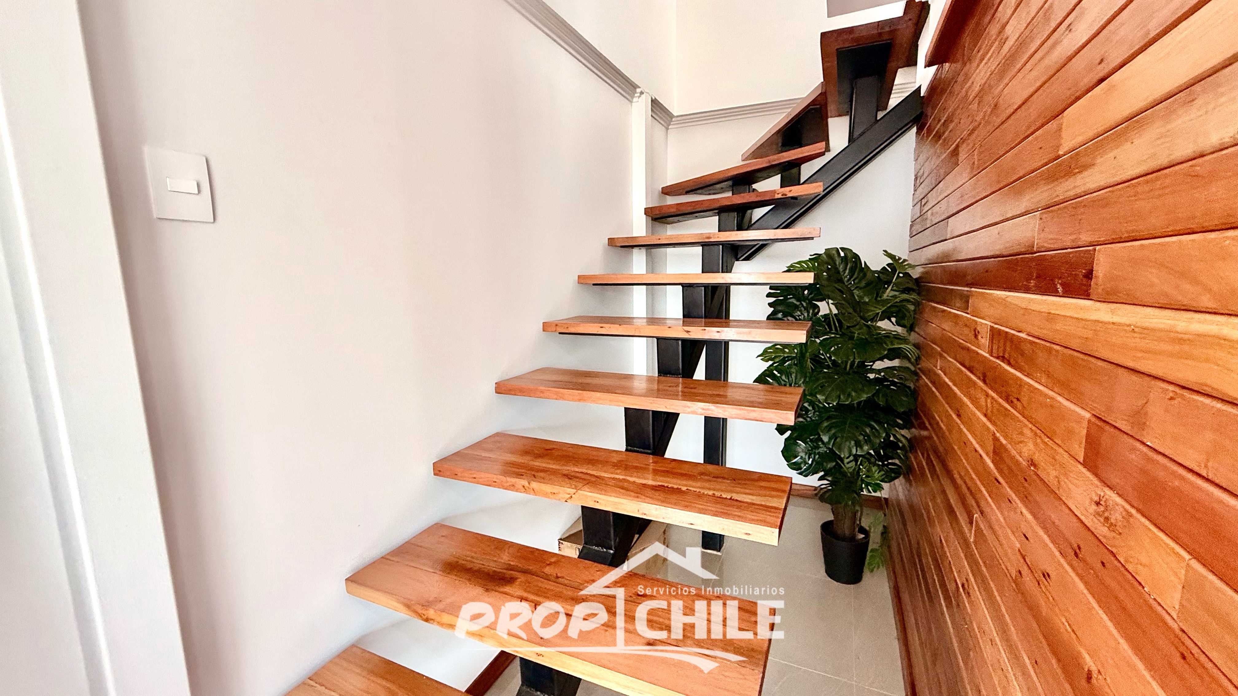 Parcela en VENTA, Los Aromos, Limach - Miniatura 6