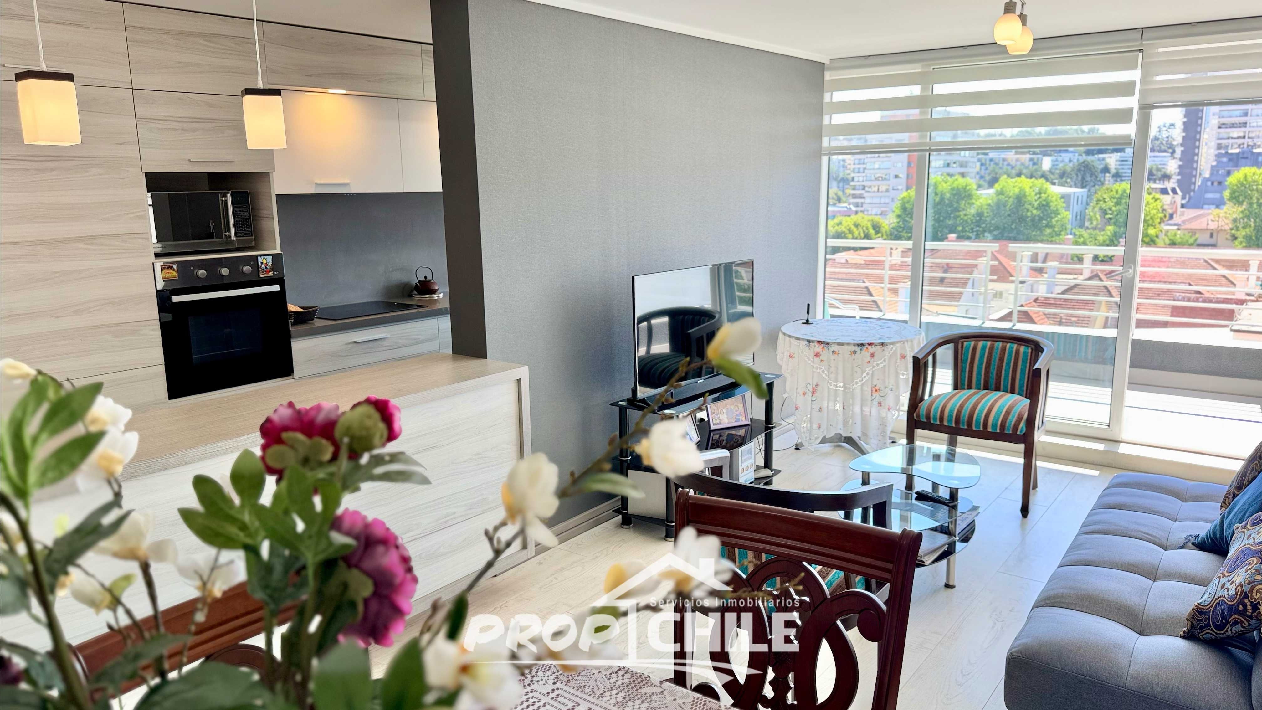 Luminoso Depto en ARRIENDO Viña del Mar - Miniatura 3