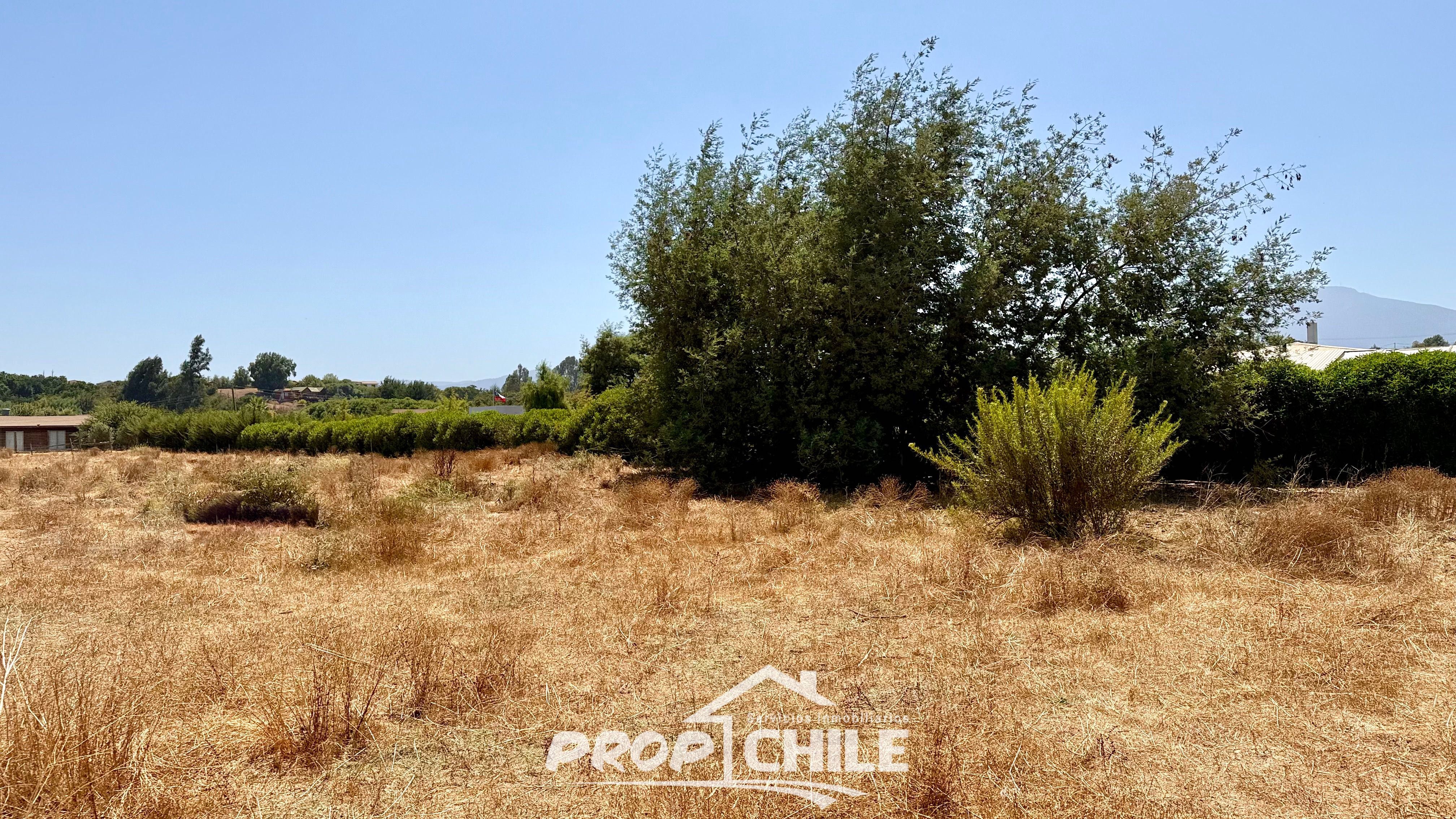 Parcela 5.000 m2 en VENTA, Puchuncaví. - Miniatura 6