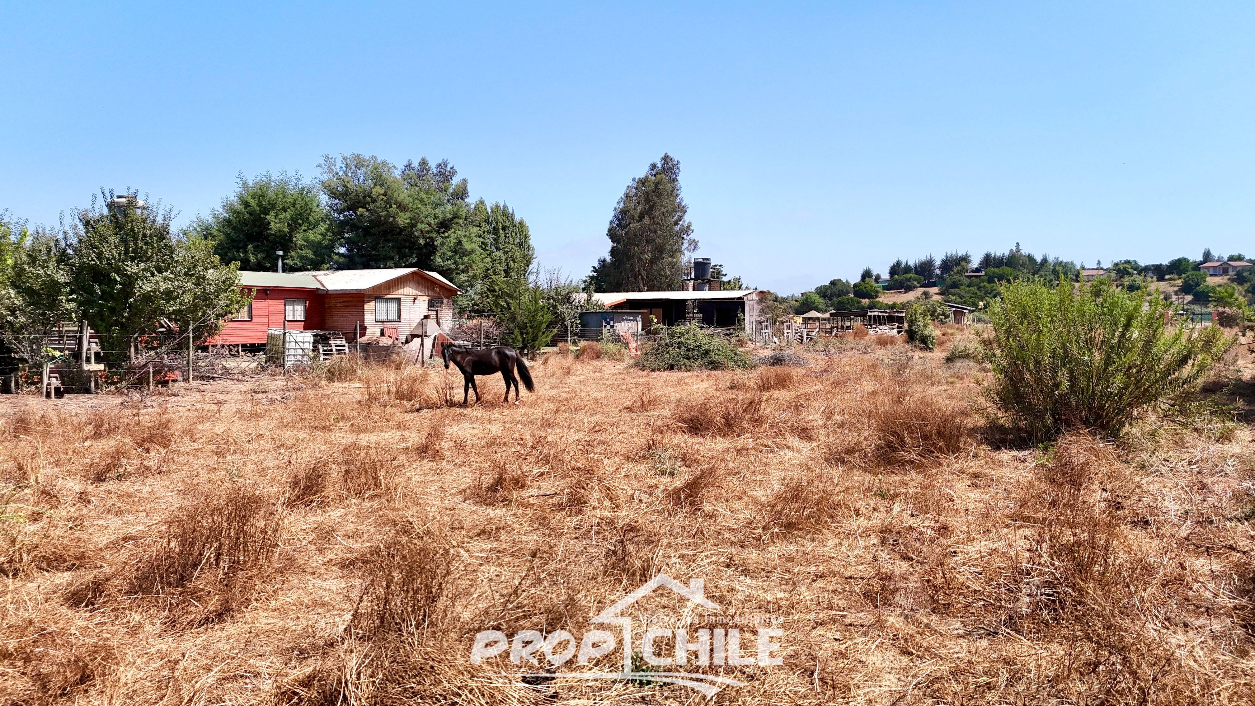 Parcela 5.000 m2 en VENTA, Puchuncaví. - Miniatura 4