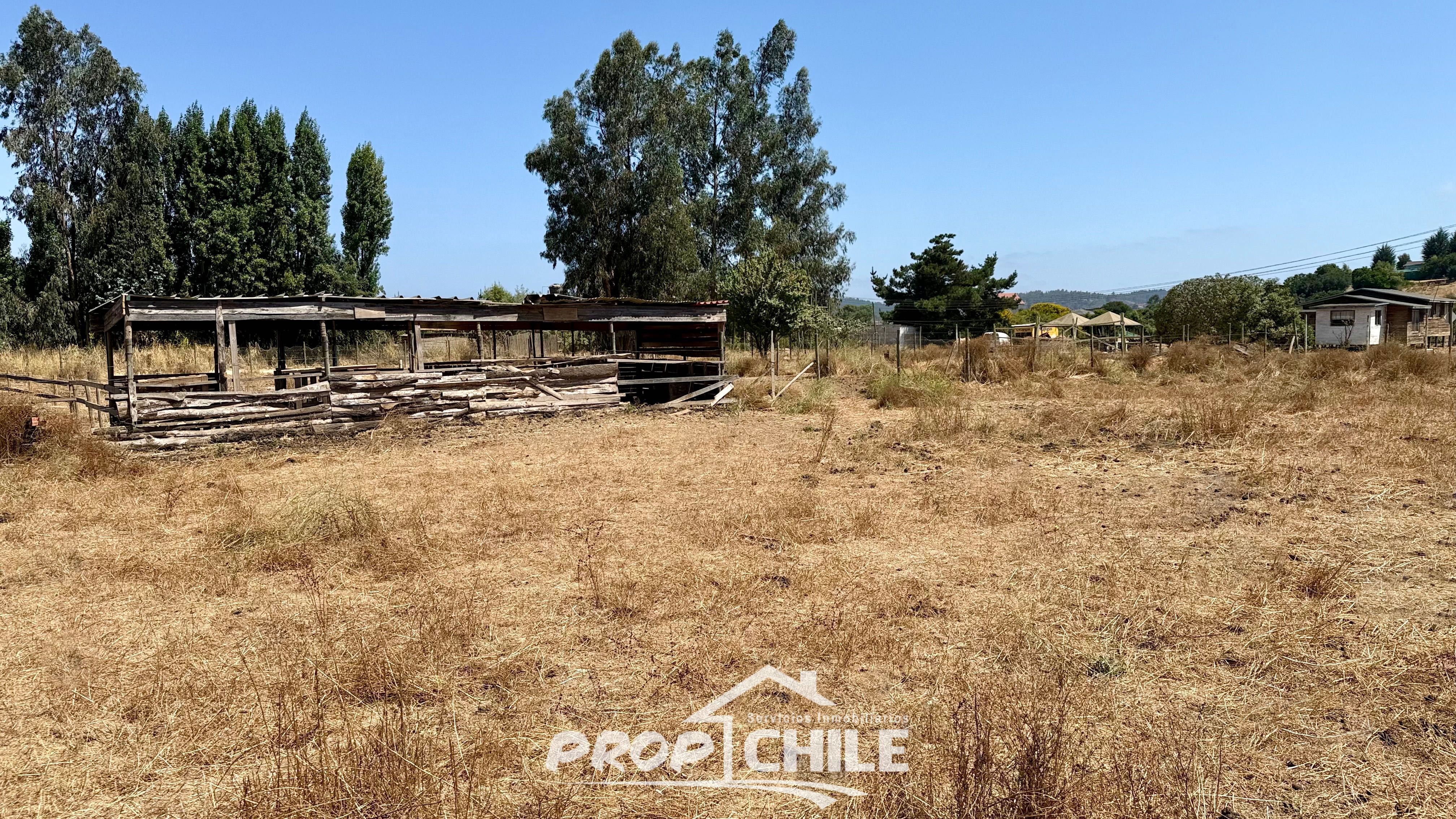 Parcela 5.000 m2 en VENTA, Puchuncaví. - Miniatura 2