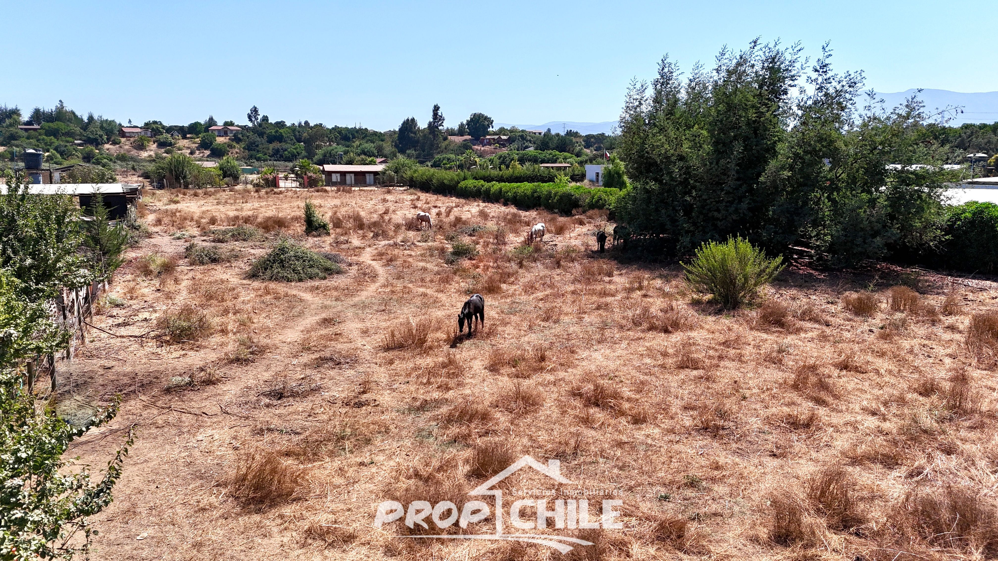 Parcela 5.000 m2 en VENTA, Puchuncaví. - Miniatura 5