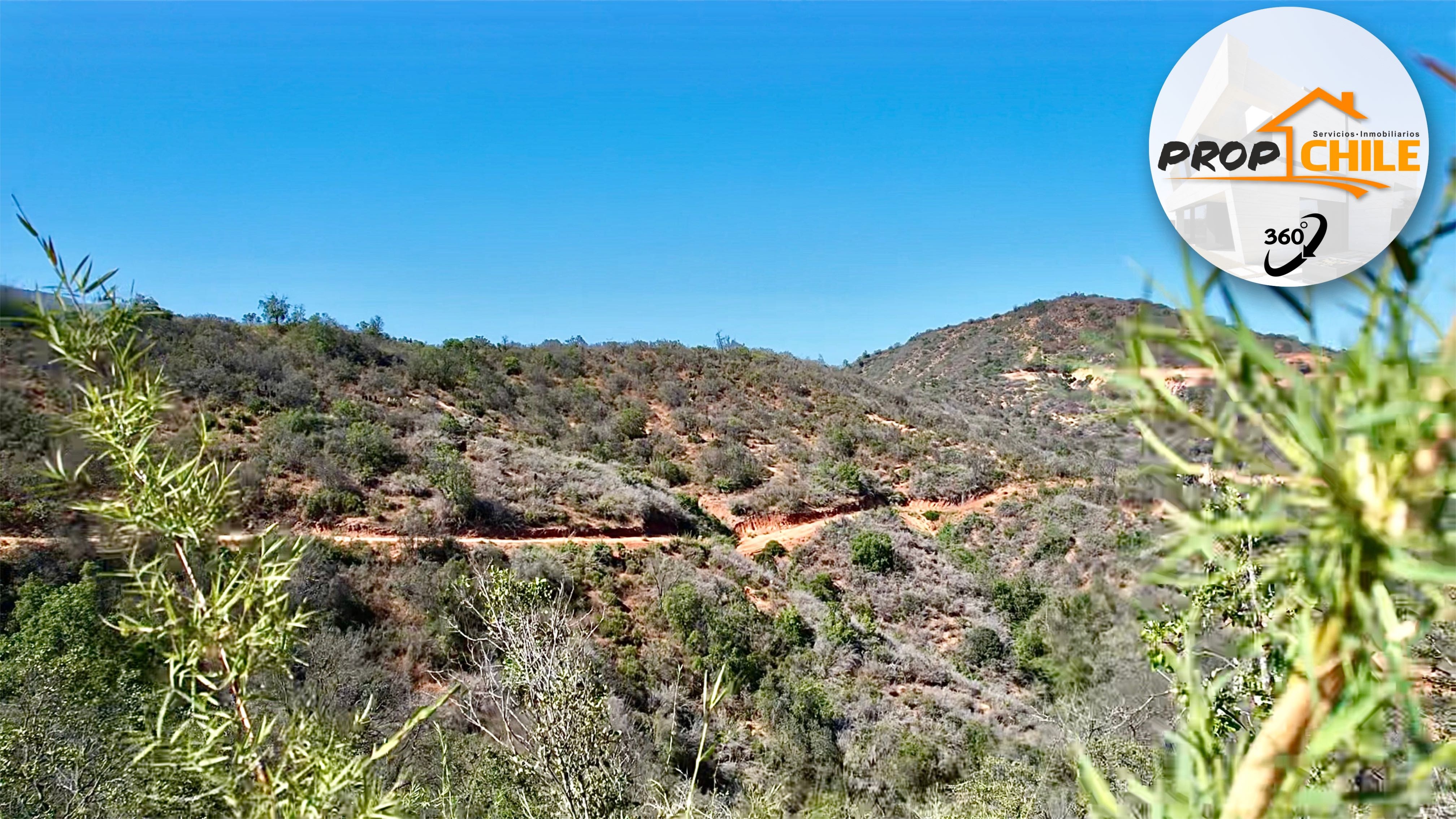 En VENTA parcela de 1,33 Hectáreas, Quilpué. - Miniatura 6