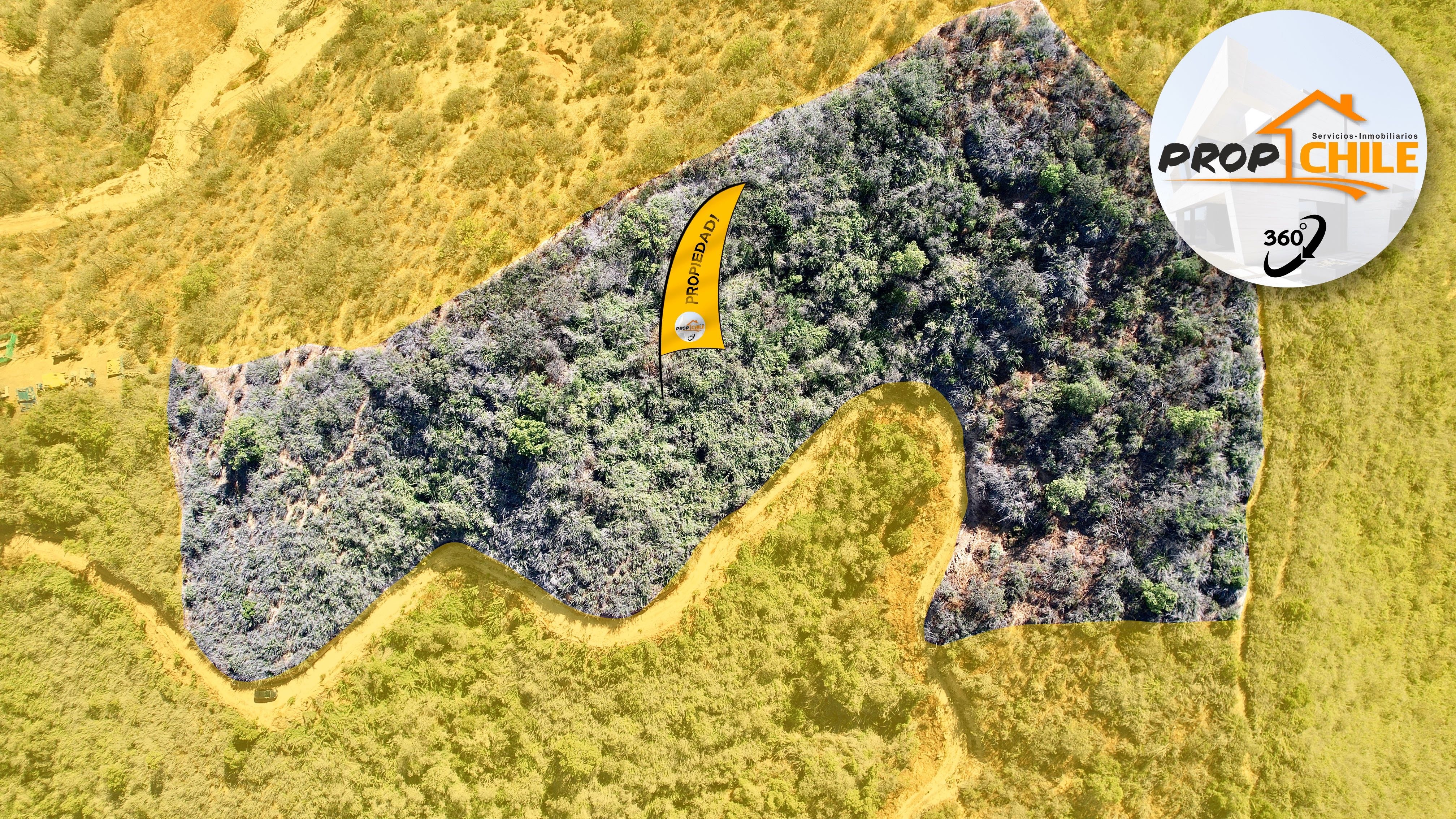 En VENTA parcela de 1,33 Hectáreas, Quilpué. - Miniatura 4