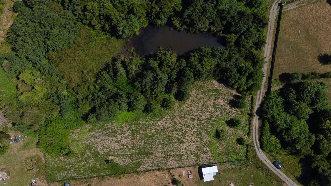 TERRENO DE MEDIA HECTAREA CON AGUA Y LUZ ISLA HUAPE ARIQUE - Miniatura 2