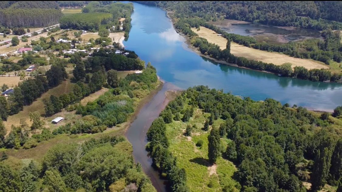 TERRENO DE MEDIA HECTAREA CON AGUA Y LUZ ISLA HUAPE ARIQUE - Miniatura 3