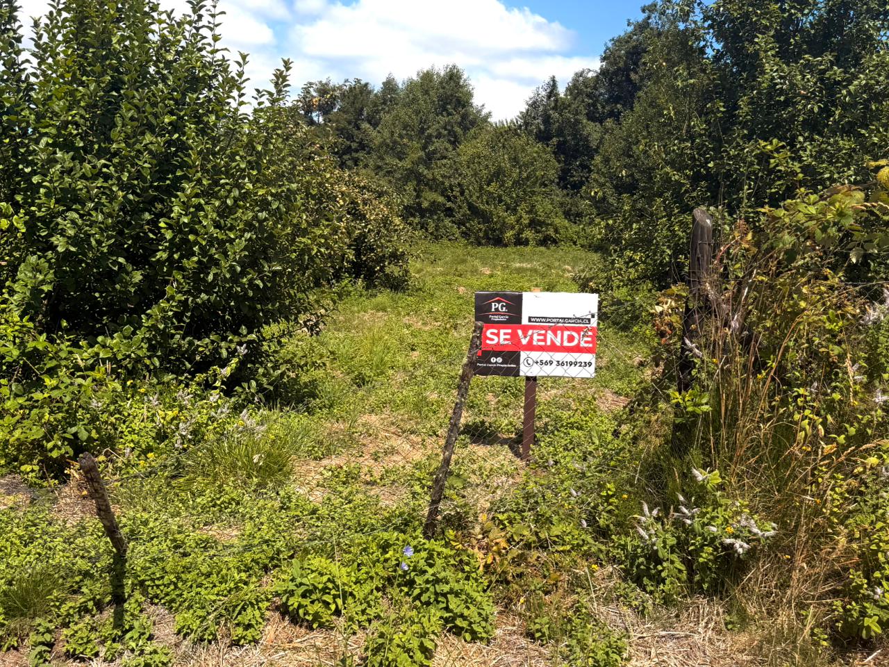 TERRENO DE MEDIA HECTAREA CON AGUA Y LUZ ISLA HUAPE ARIQUE - Miniatura 5