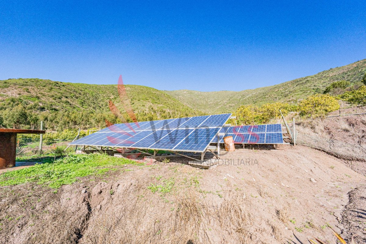 Hectáreas Agrícolas En Producción - Miniatura 5