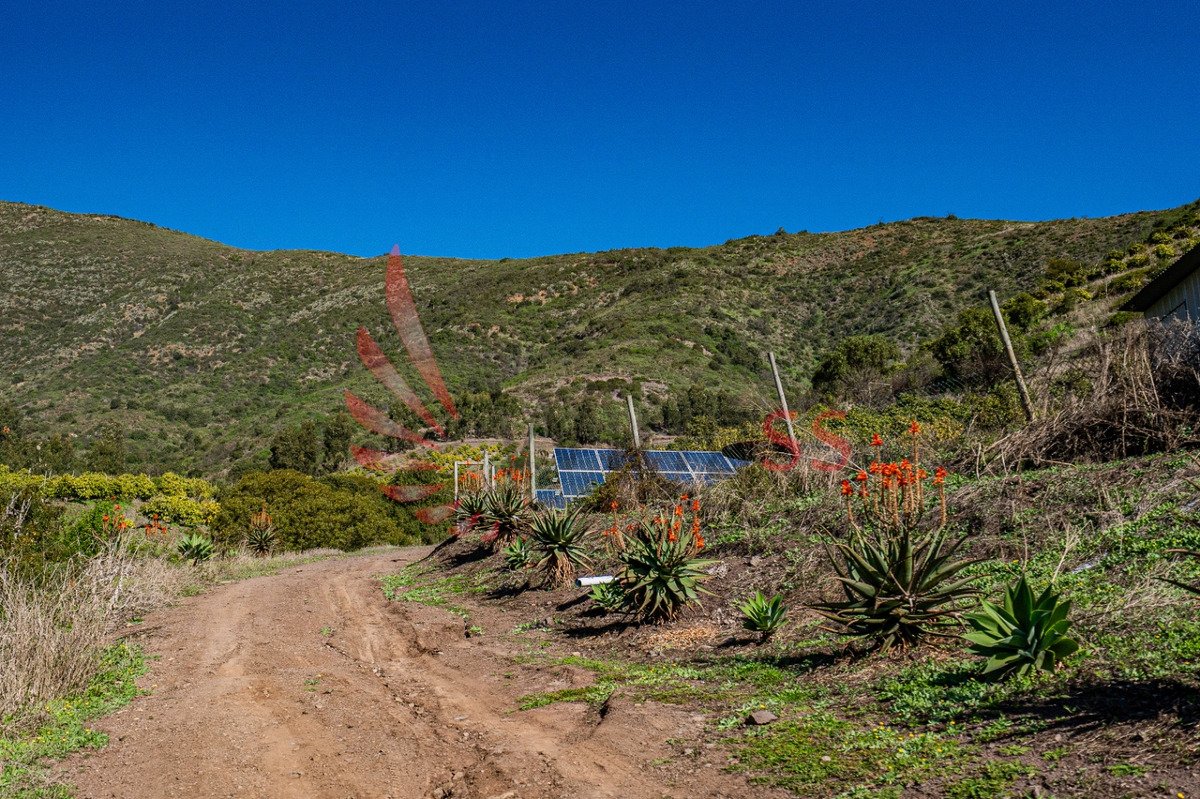 Hectáreas Agrícolas En Producción - Miniatura 6