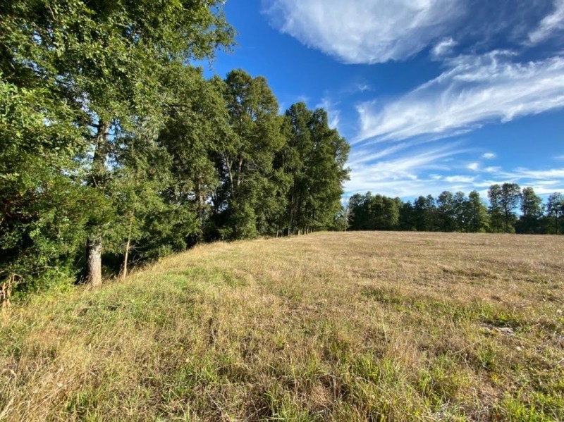 LINDO TERRENO DE MAS DE MEDIA HECTAREA PUFUDI - Miniatura 2