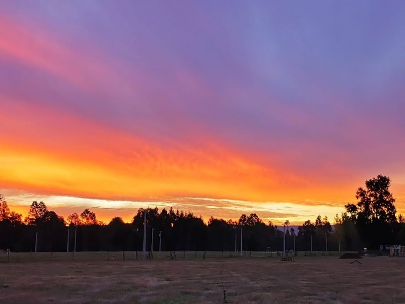 LINDO TERRENO DE MAS DE MEDIA HECTAREA PUFUDI - Miniatura 5