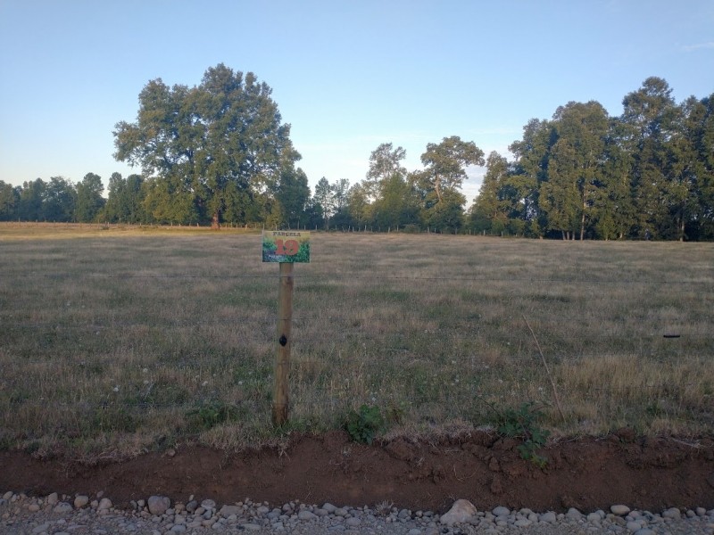 LINDO TERRENO DE MAS DE MEDIA HECTAREA PUFUDI - Miniatura 6