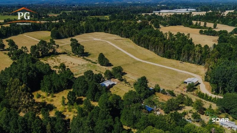 SE VENDE PARCELA DE MEDIA HECTAREA SECTOR PUFUDI. - Miniatura 3