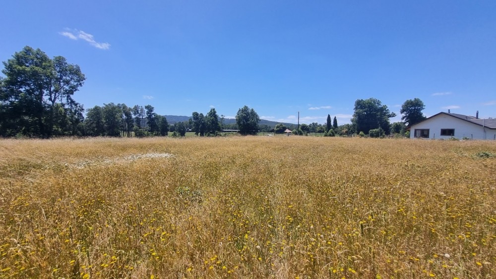 MEDIA HECTAREA CON 35 MTS DE FRENTE CARRETERA - Miniatura 4