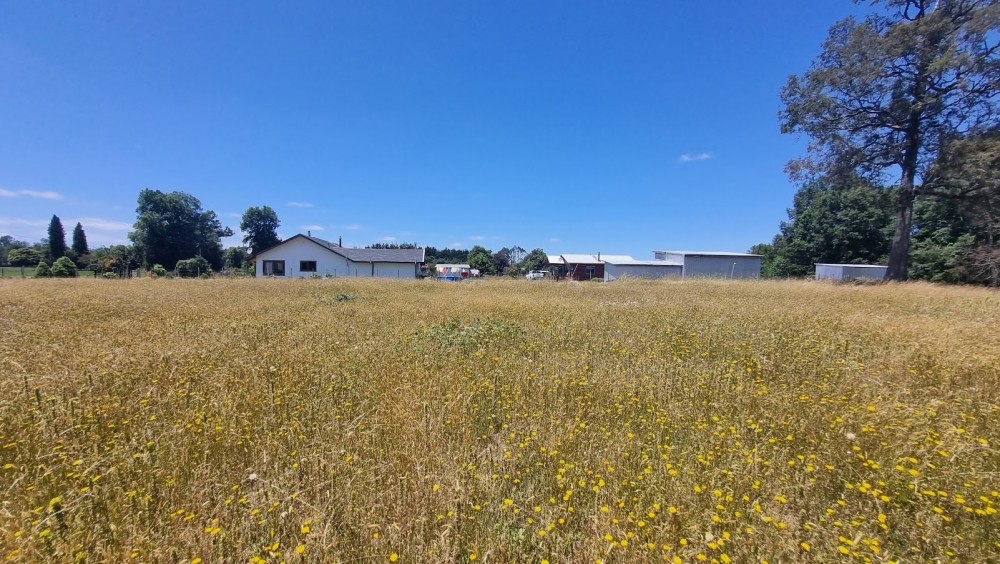 MEDIA HECTAREA CON 35 MTS DE FRENTE CARRETERA - Miniatura 5