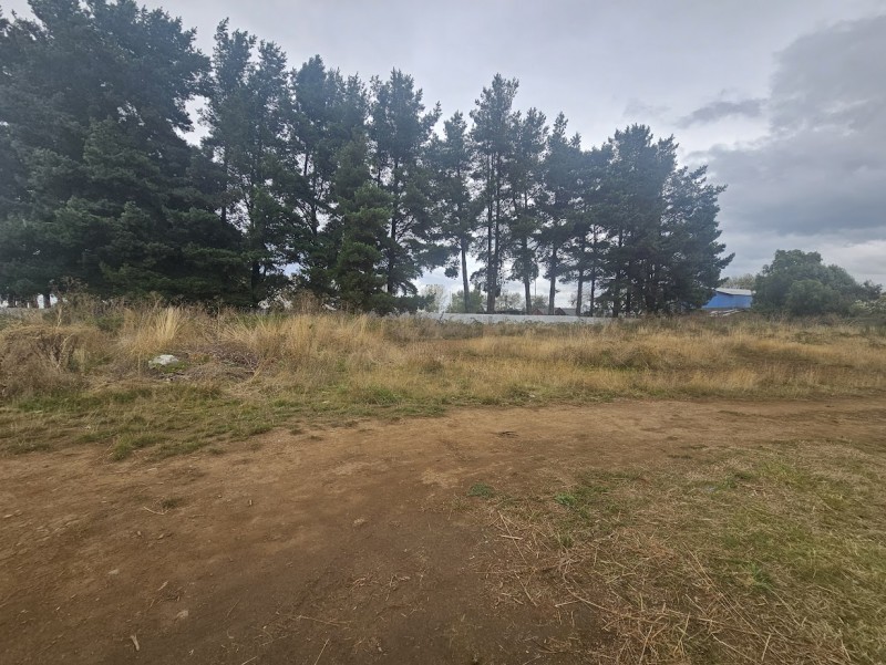 AMPLIO TERRENO DE CASI MEDIA HECTAREA PAILLACO CENTRAL - Miniatura 3