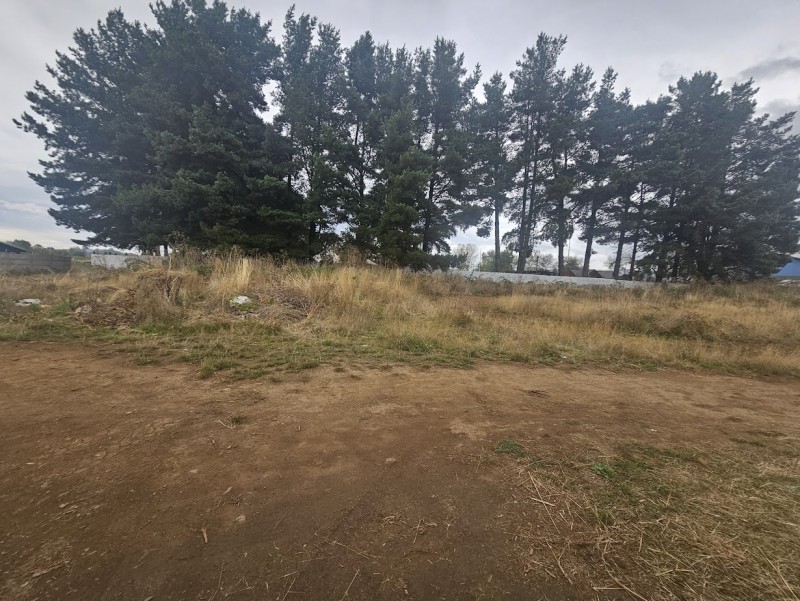 AMPLIO TERRENO DE CASI MEDIA HECTAREA PAILLACO CENTRAL - Miniatura 6