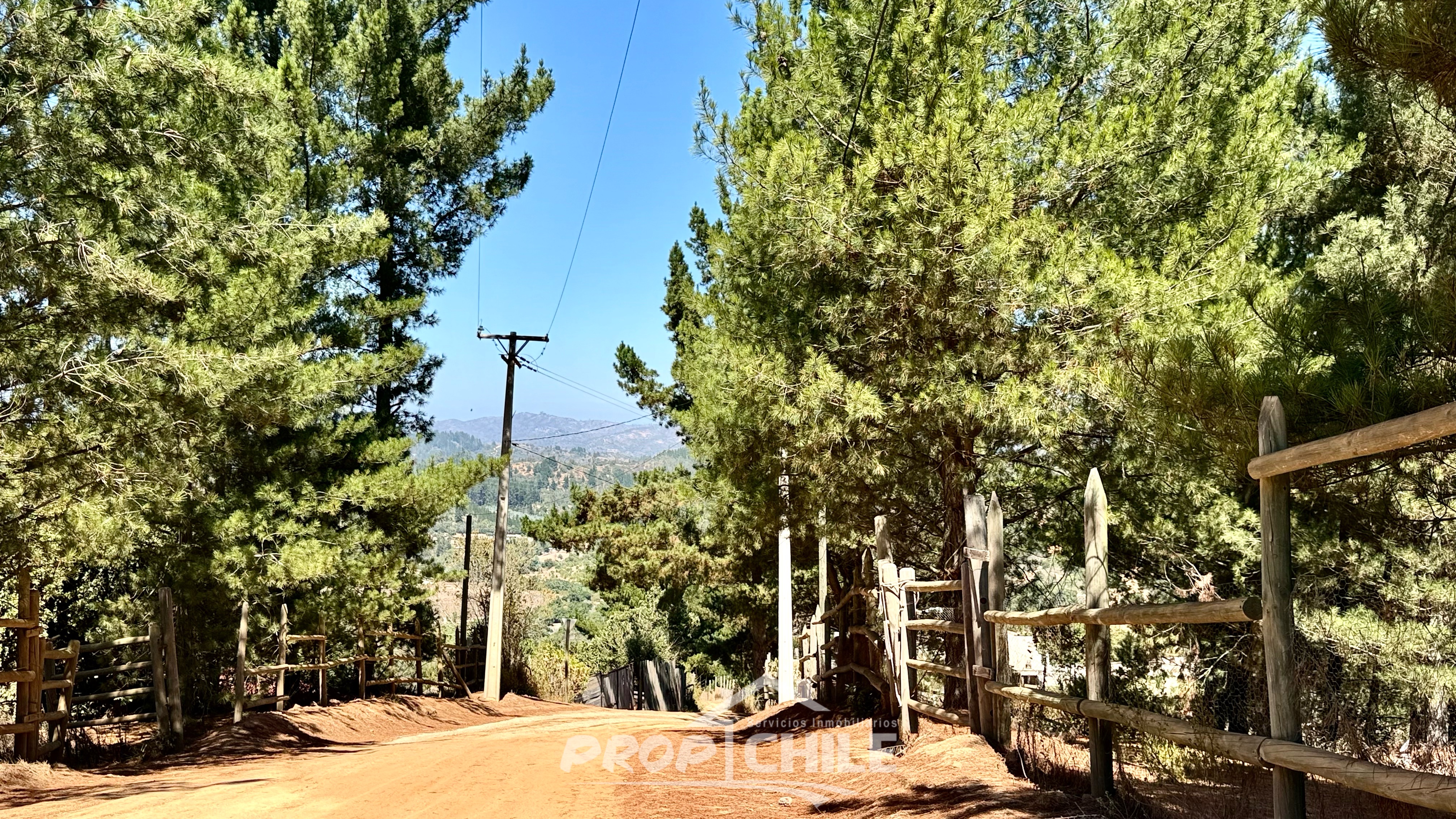 En VENTA Parcela 5.000 m2, Melosilla, Valparaíso - Miniatura 3