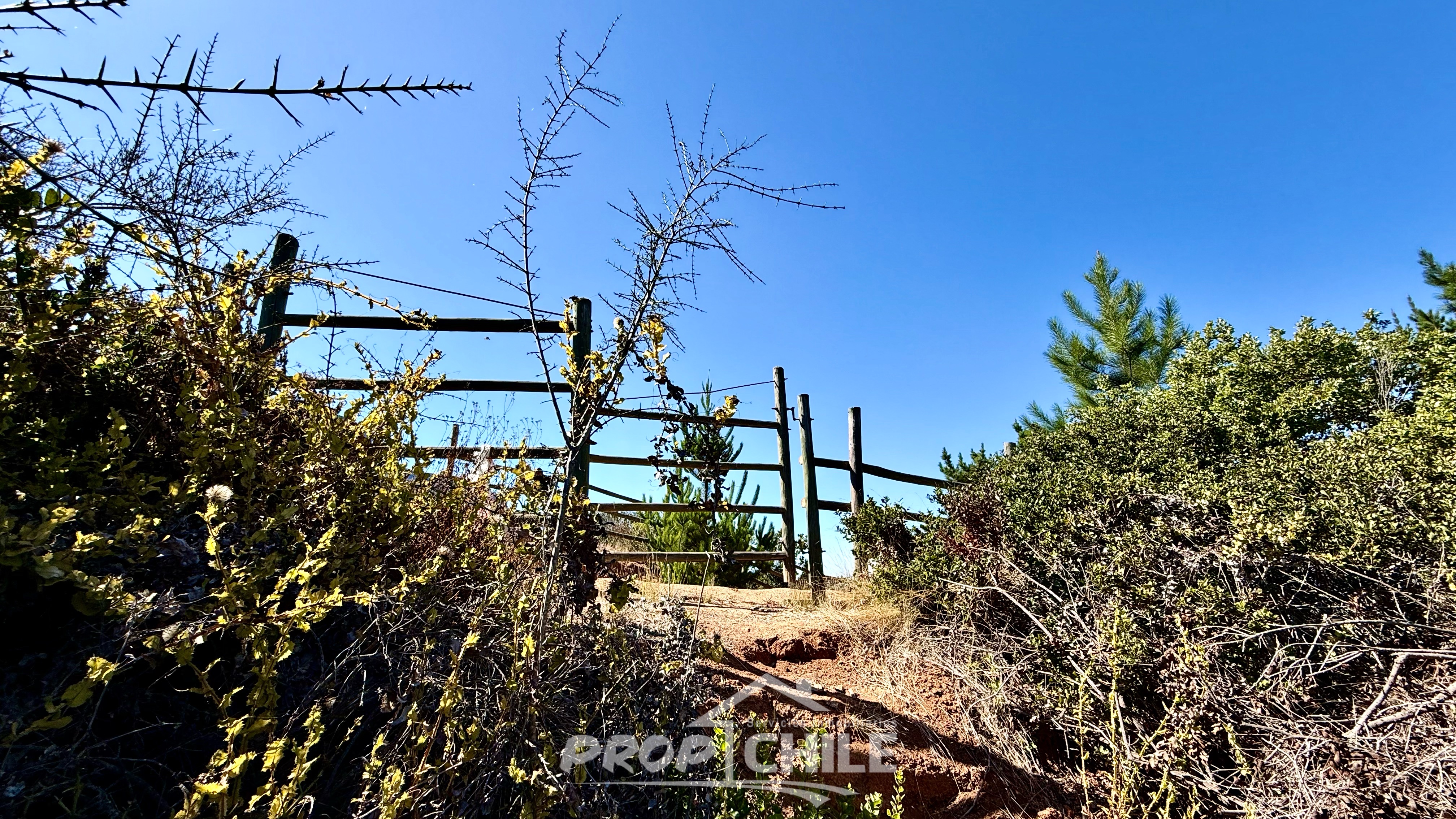 En VENTA Parcela 5.000 m2, Melosilla, Valparaíso - Miniatura 5