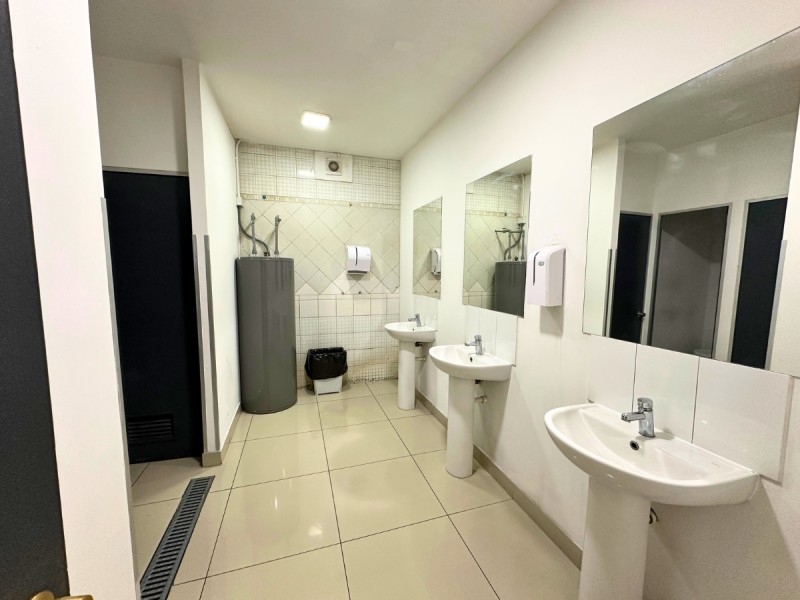 Bodega en Arriendo en Salida directa a Vespucio Norte, sector Cordillera - Miniatura 5