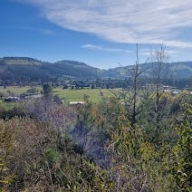 TERRENO DE MEDIA HECTAREA CON SALIDA A CARRETERA - Miniatura 2
