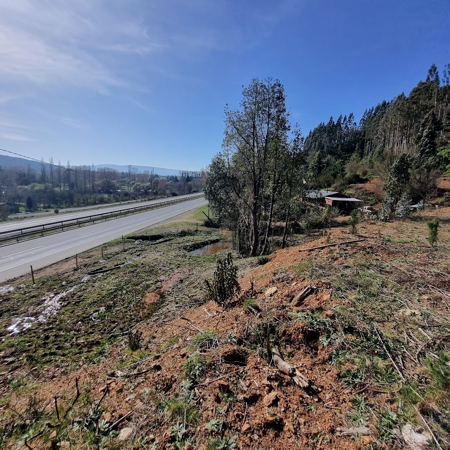TERRENO DE MEDIA HECTAREA CON SALIDA A CARRETERA - Miniatura 5