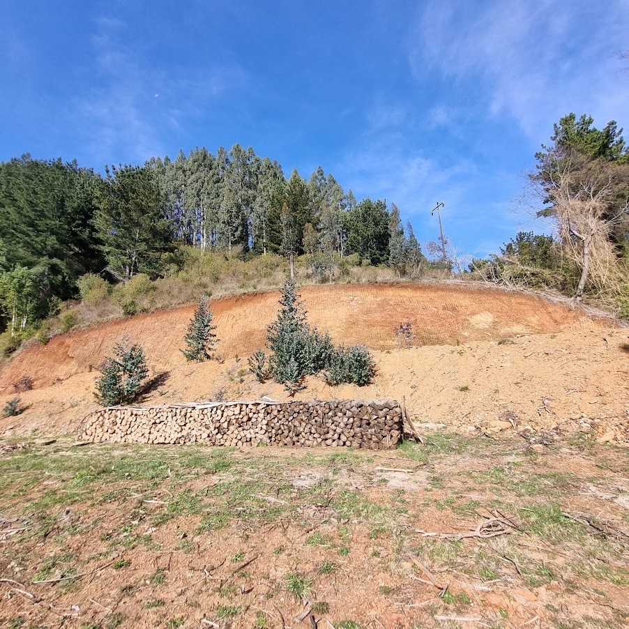 TERRENO DE MEDIA HECTAREA CON SALIDA A CARRETERA - Miniatura 6